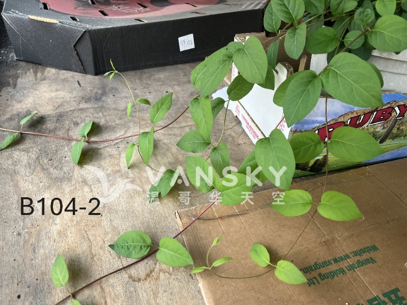 250920100847_B104-2 18-2 24-09.JPG